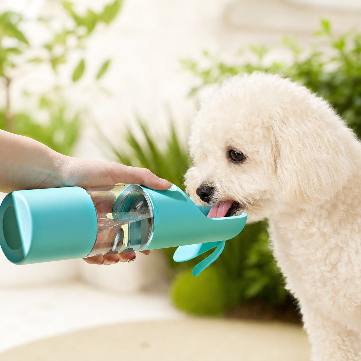 Small white dog drinking from a blue PawSip portable pet water bottle outdoors