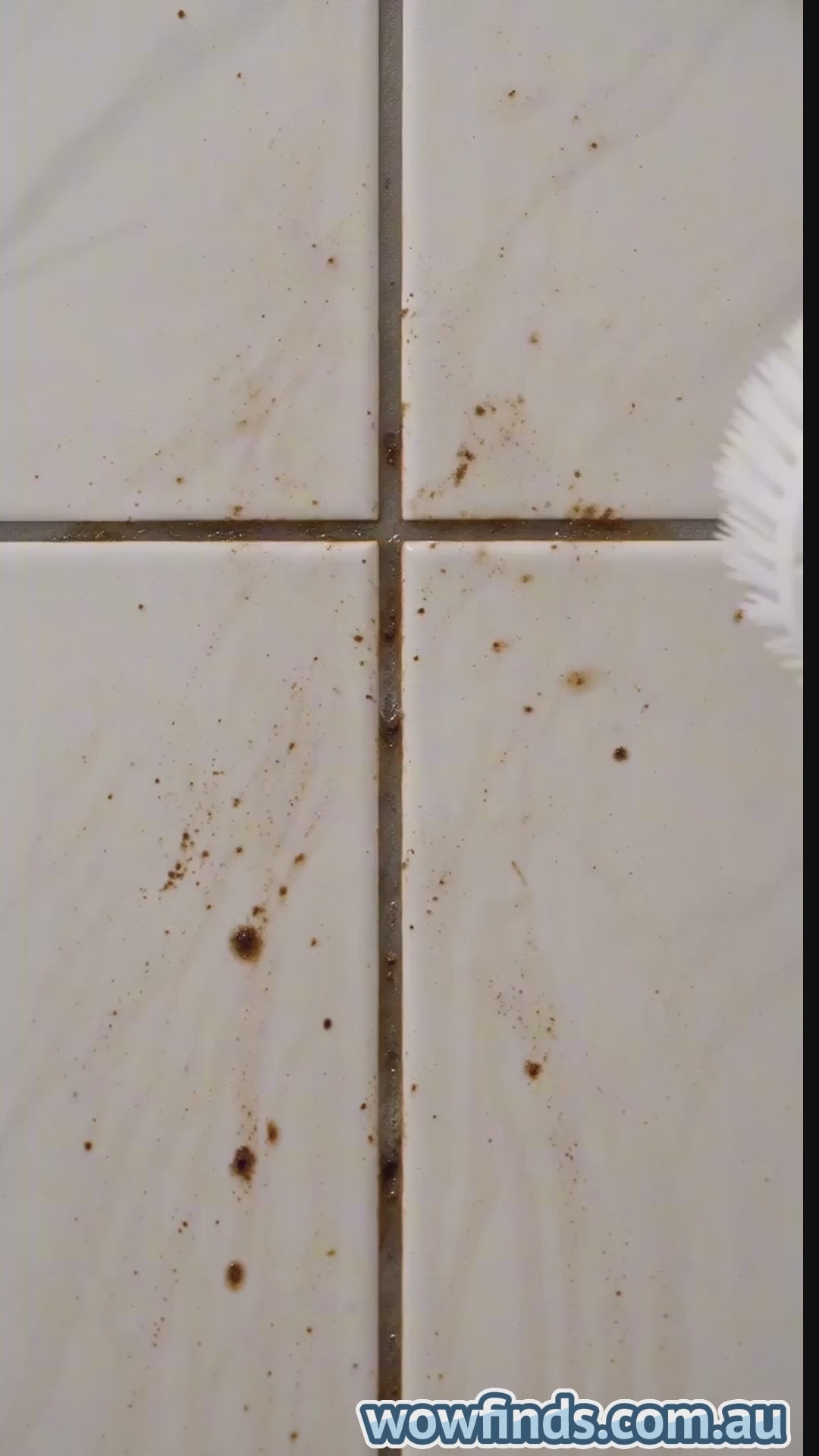 spinscrub-cordless-electric-cleaning-brush-australia